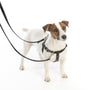 Arnés antitirones para perro Freedom No-Pull 1980's EarthStyle, foto 7