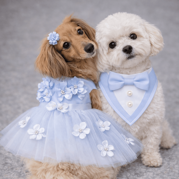 Blue Ceremony Tuxedo Bandana, photo 2