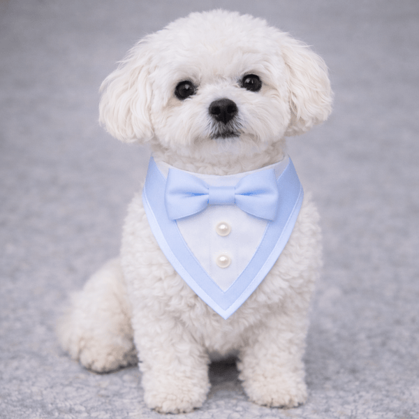 Blue Ceremony Tuxedo Bandana, photo 1