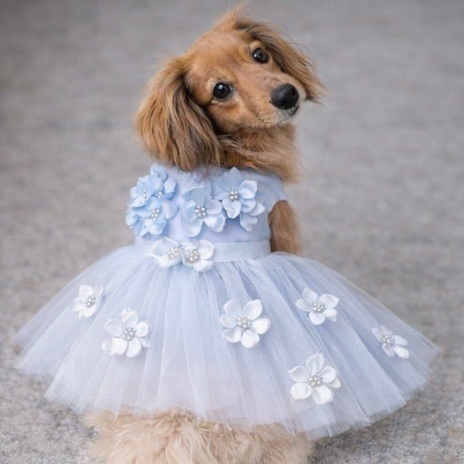 Blue Ceremony Dress, photo 1