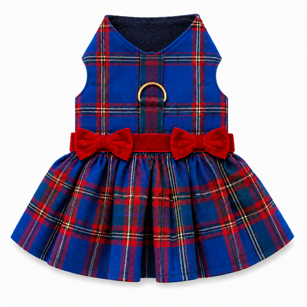 Red/Blue Plaid Dress, photo 1