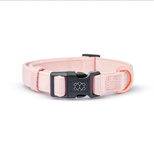 Blush City Padded Dog Collar