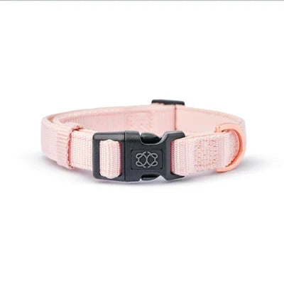 Blush City Padded Dog Collar, photo 5