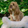 HuggleFleece, hueso de peluche para perro, 2 pies, foto 4