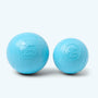 Boundr Fetch Ball Dog Toy, photo 4