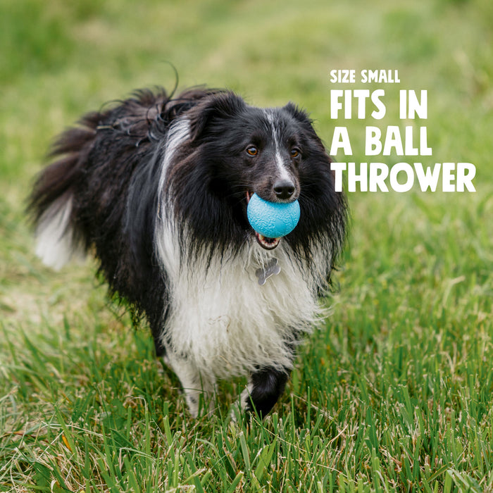 Boundr Fetch Ball Dog Toy, photo 3