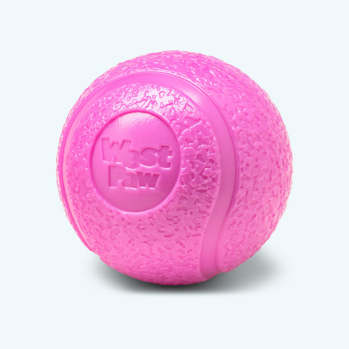 Boundr Fetch Ball Dog Toy, photo 14