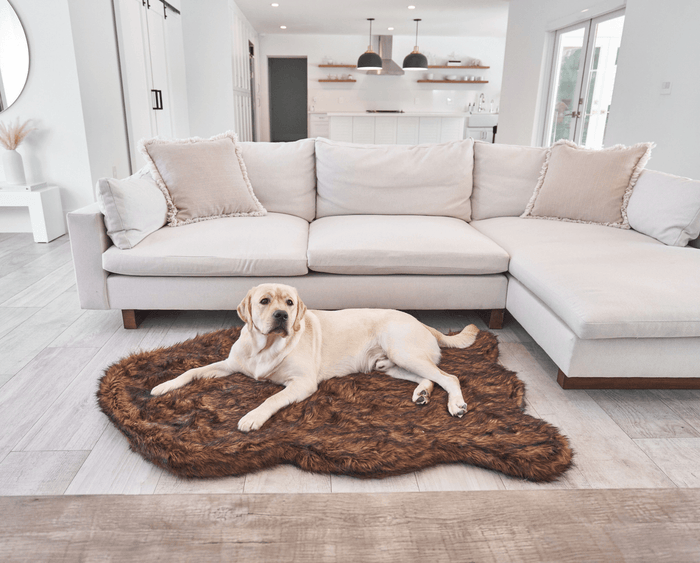 PupRug Curve Faux Fur Orthopedic Dog Bed, Brown, photo 2