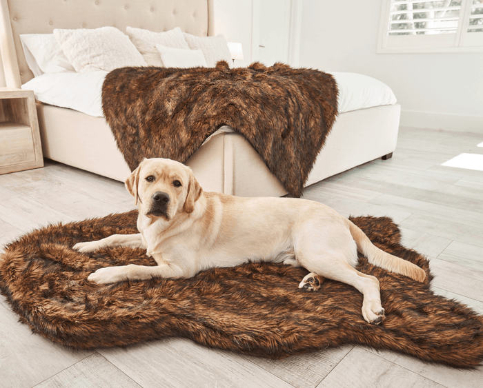 PupRug Curve Faux Fur Orthopedic Dog Bed, Brown, photo 3