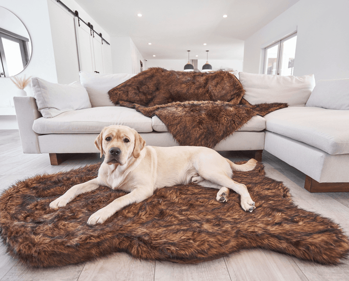 PupRug Curve Faux Fur Orthopedic Dog Bed, Brown, photo 7