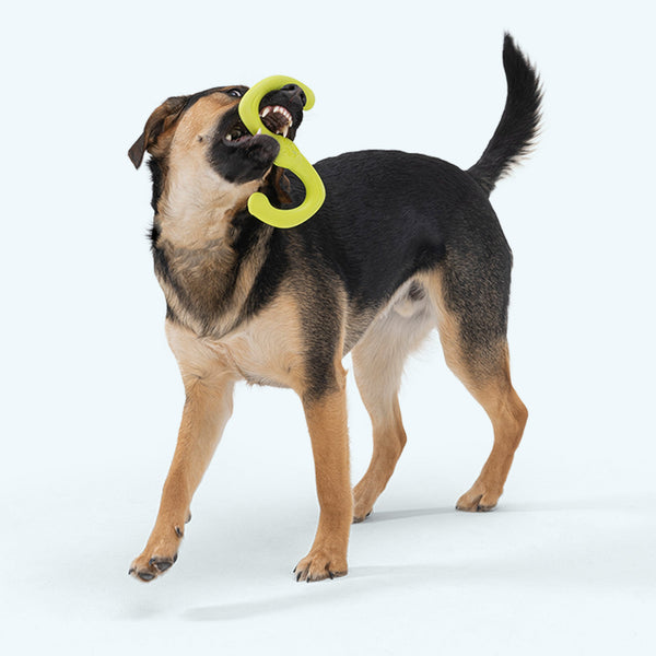 Juguete para jalar Bumi para perro, rubí, foto 2