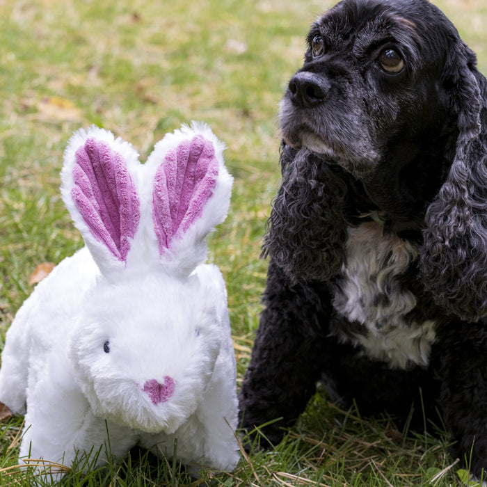 Squooshie Bunny Plush Dog Toy, photo 4