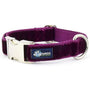Burgundy Velvet Essential Dog Collar, photo 2