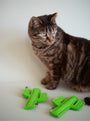 Juguete con hierba gatera para gato Cactus, foto 2