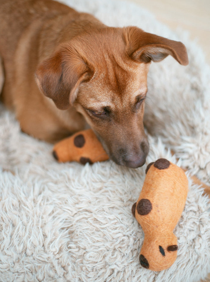 Juguete de lana para perro Capybara, foto 5