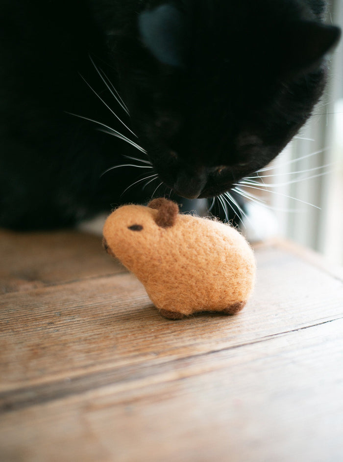 Juguete de lana para perro Capybara, foto 6