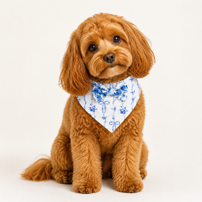 Bandana para perro Something Blue LovePackPuppy, foto 2