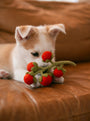 Cherry Tomato Vine Wool Dog and Cat Toy, photo 2