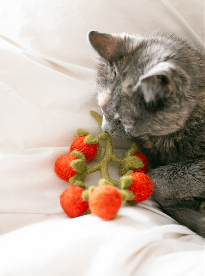 Cherry Tomato Vine Wool Dog and Cat Toy, photo 3