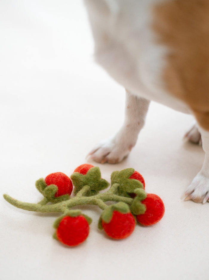 Cherry Tomato Vine Wool Dog and Cat Toy, photo 5