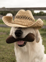 Juguete Woolbone para perro House of Sploot, foto 2