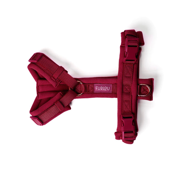 Bordeaux comfort dog harness laid flat