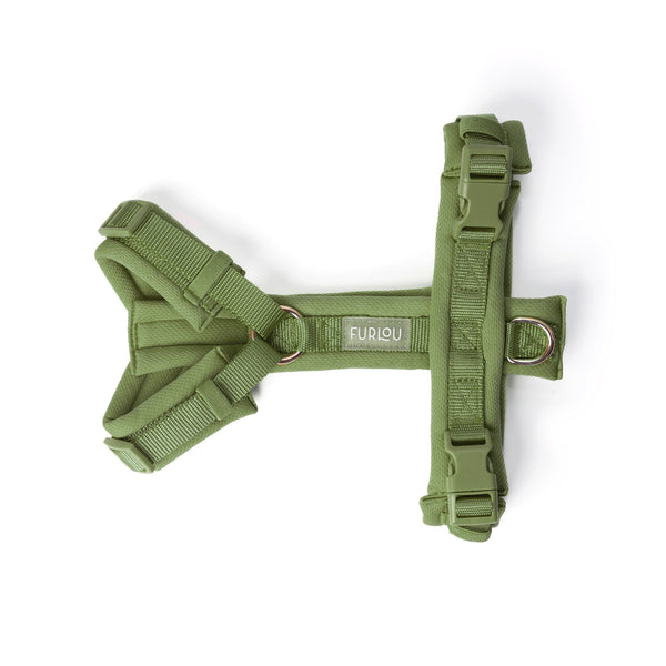 Green comfort dog harness laid flat