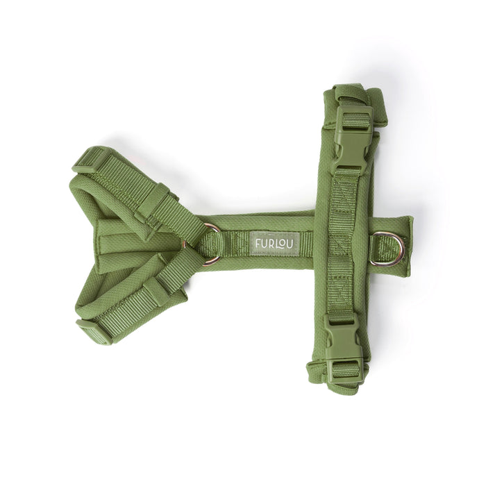 Arnés acolchado para perro, verde, extendido