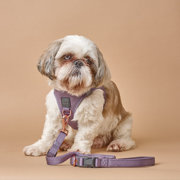 Lilac Gray SoHo Step-In Dog Harness, photo 6