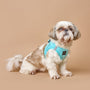 Fifth Avenue SoHo Step-In Dog Harness, photo 5