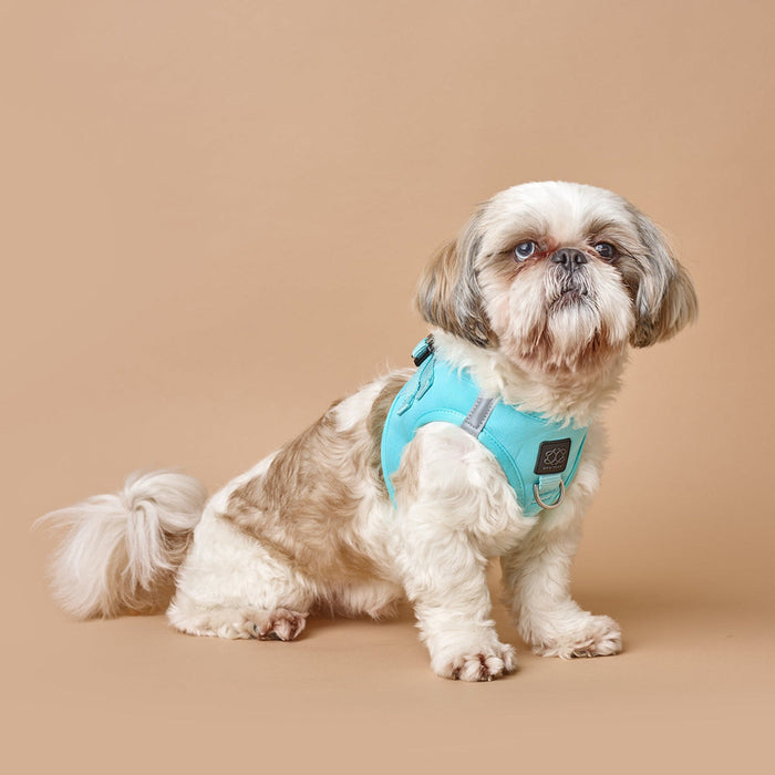 Fifth Avenue SoHo Step-In Dog Harness, photo 5