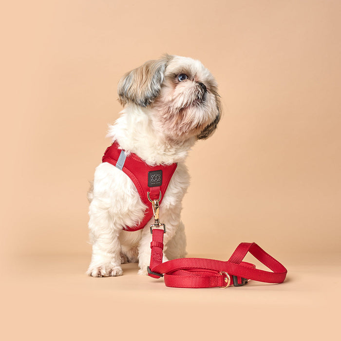 Iconic Red City Bungee Dog Leash, photo 3