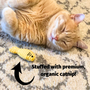 HuggleKats Dust Bunnies Cat Toys, 3 Pack, photo 13