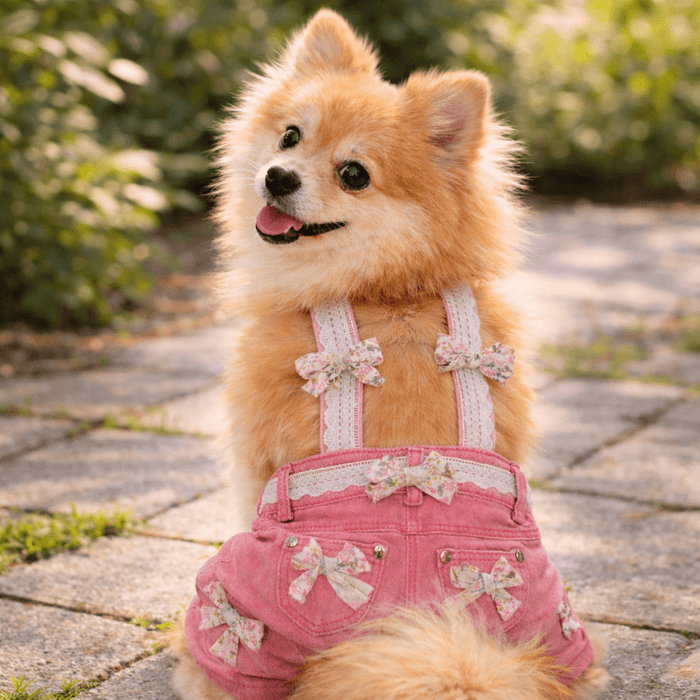 Pink Overalls with Floral Pink Bows, photo 1