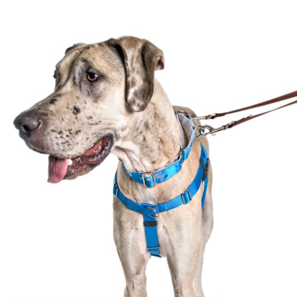 Arnés antitirones para perro Freedom No-Pull turquesa, foto 7
