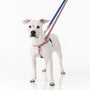Arnés antitirones para perro Freedom No-Pull Star Spangled EarthStyle, foto 4