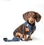 Denim City Bungee Dog Leash, photo 3
