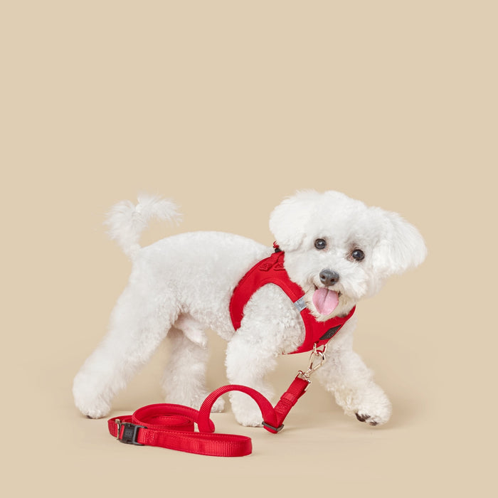 Iconic Red City Bungee Dog Leash, photo 2
