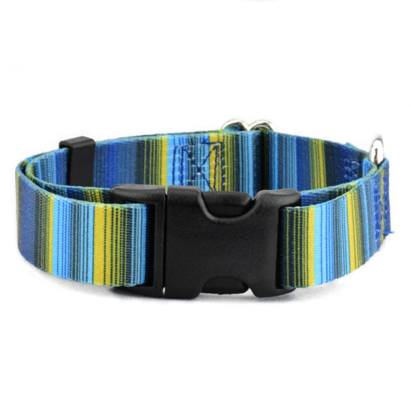 Collar para perro Clyde EarthStyle, foto 1