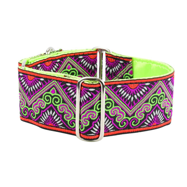 Collar martingala para perro Puesta del Sol, 2 pulg. de ancho, foto 1