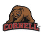 NCAA Cornell University, Big Red Bear Knottie, juguete de peluche para perro, foto 4
