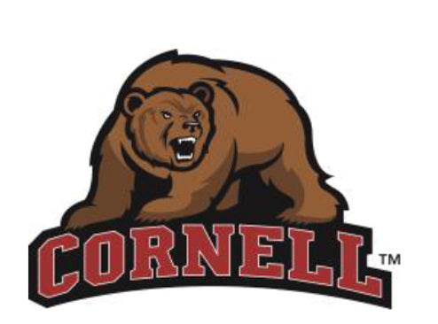 NCAA Cornell University, Big Red Bear Knottie, juguete de peluche para perro, foto 4