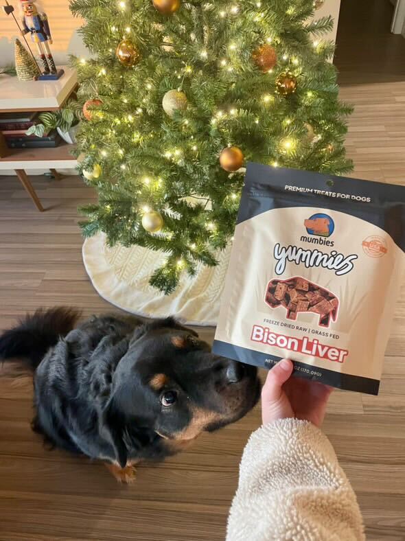 Yummies Freeze-Dried Bison Liver Dog Treats, photo 11
