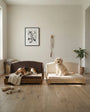 Two Haven dog beds side by side, a beagle on brown and a white doodle on cream