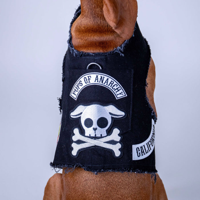 Pups of Anarchy Harness, photo 5
