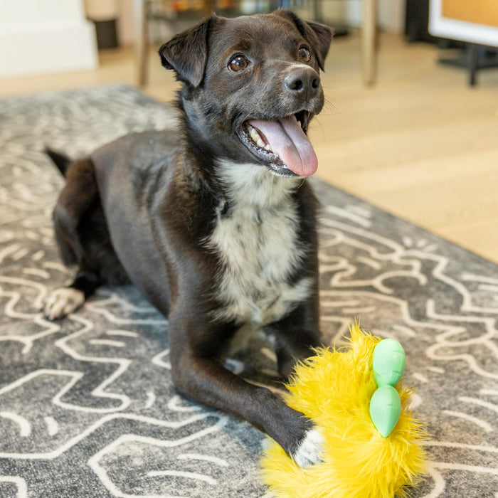 Rolf Plush Dog Toy, photo 7