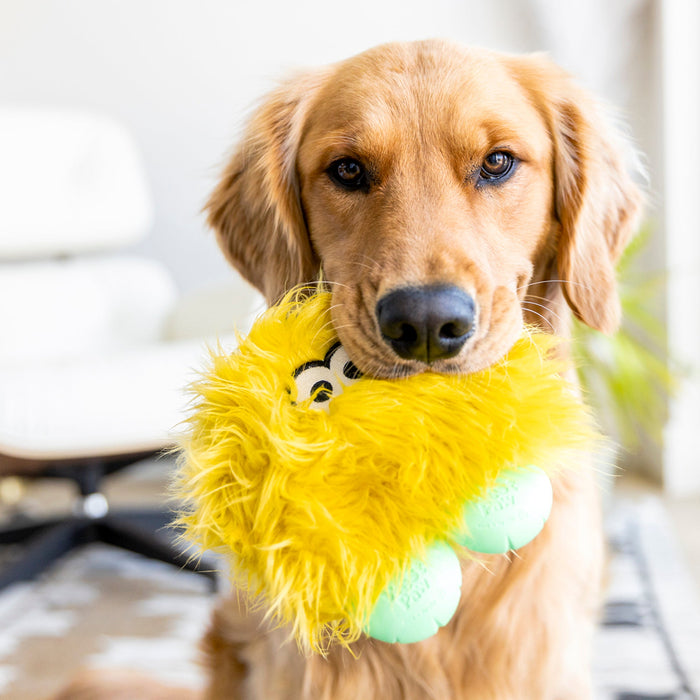 Rolf Plush Dog Toy, photo 6