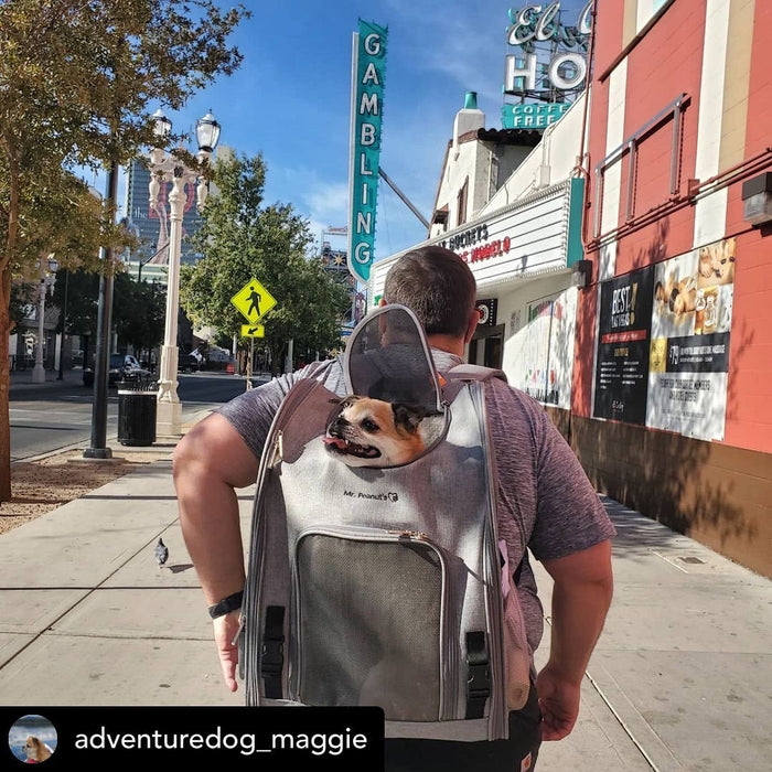 Aspen Backpack Pet Carrier, photo 20