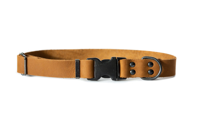 Sport Leather Dog Collar, photo 3