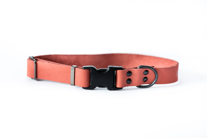 Sport Leather Dog Collar, photo 4